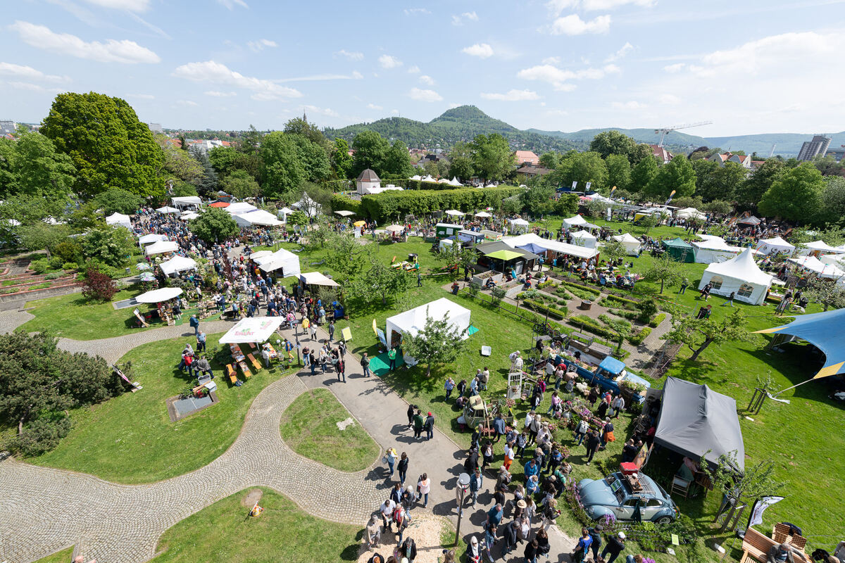 GardenLife_18_05_2023_Schanz_049