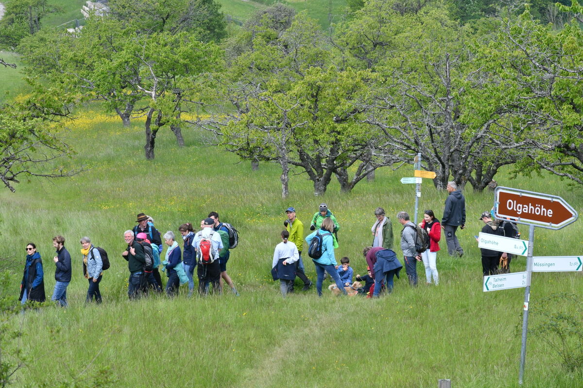 500_0002FOTOS JÜRGEN MEYER