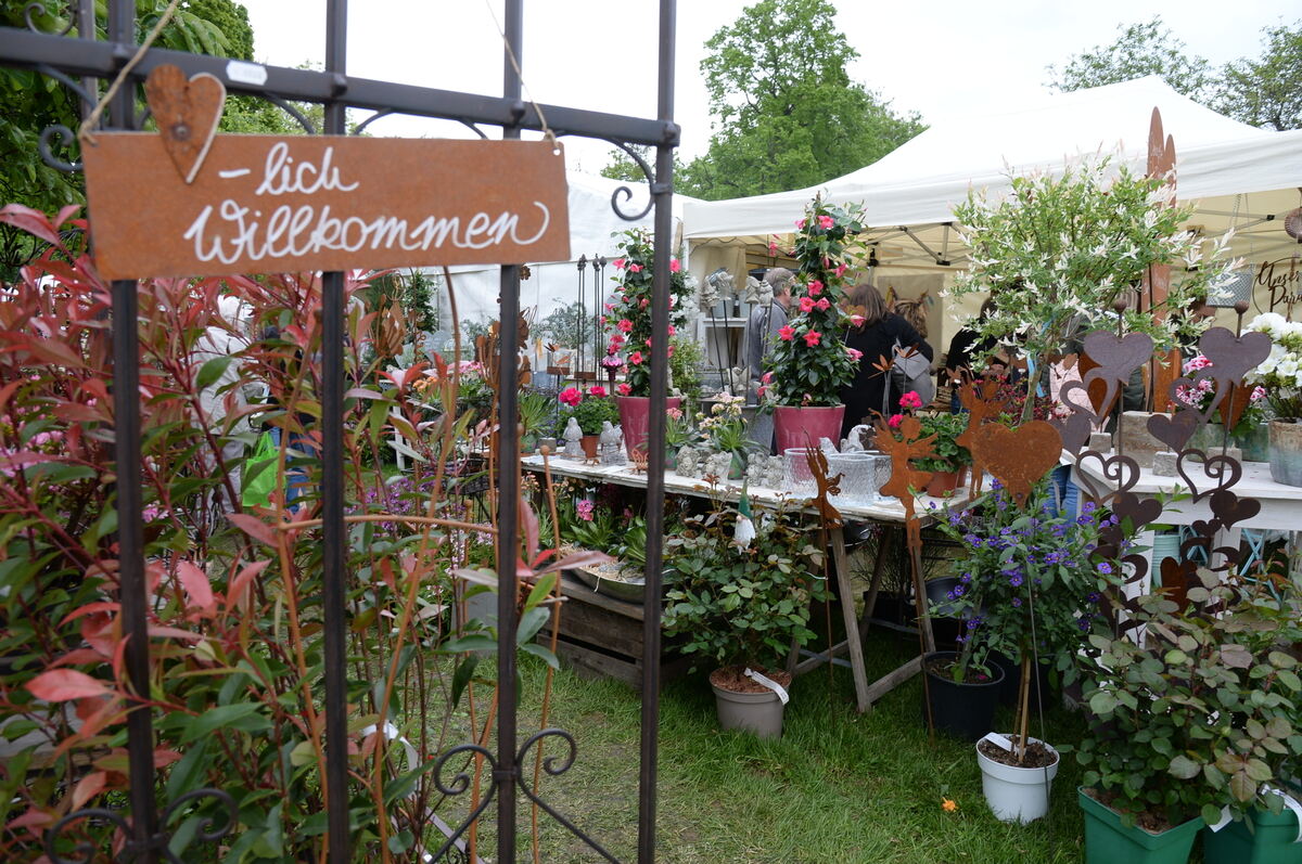 Bild  FOTO JÜRGEN MEYER _38