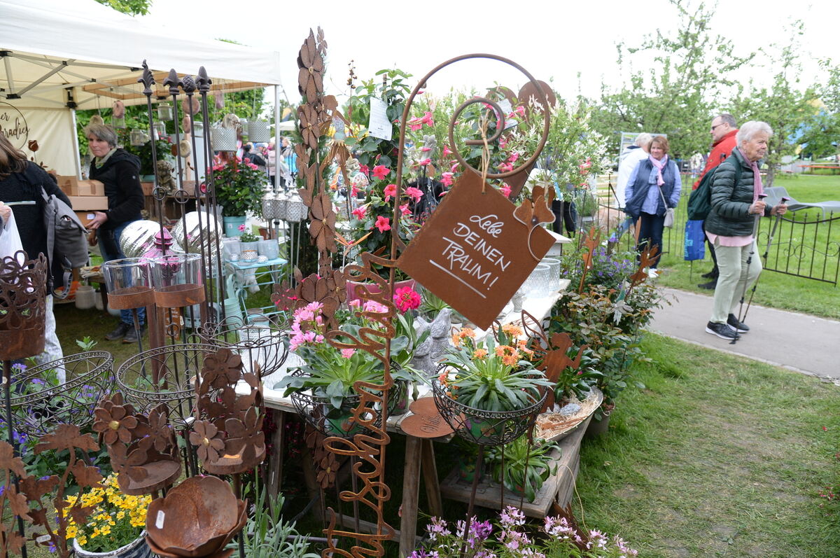 Bild  FOTO JÜRGEN MEYER _39