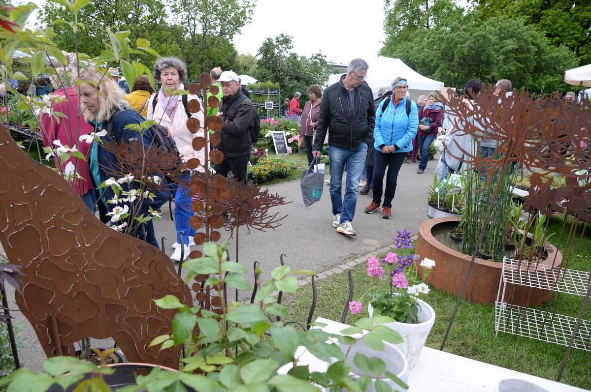 Bild  FOTO JÜRGEN MEYER _40