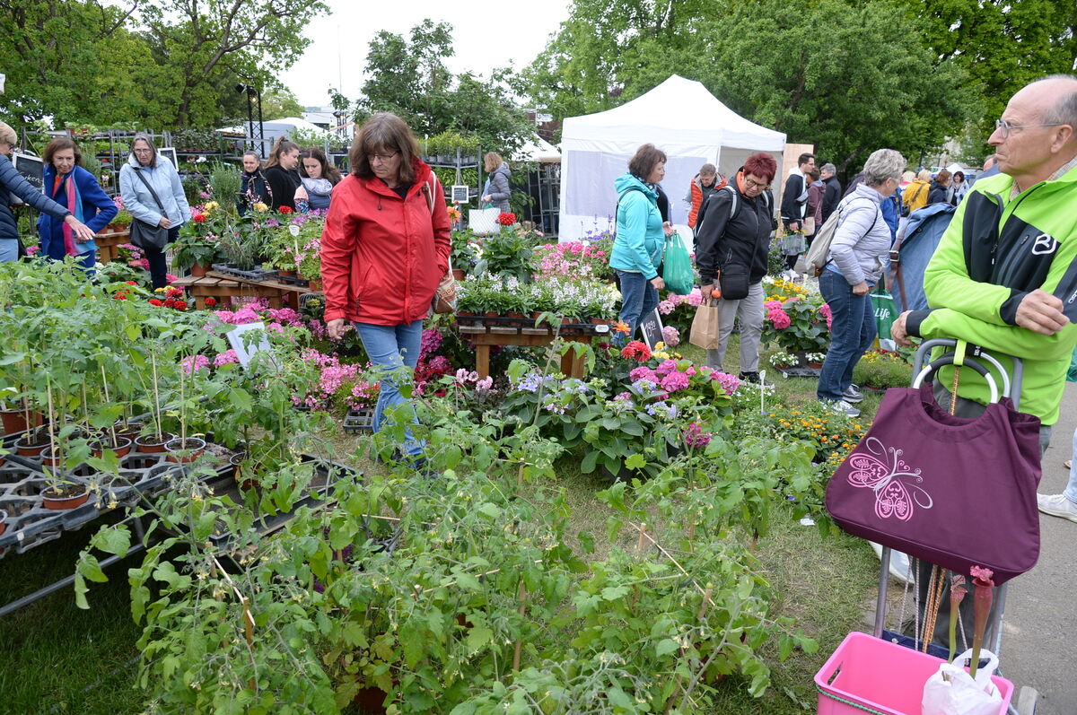 Bild  FOTO JÜRGEN MEYER _41