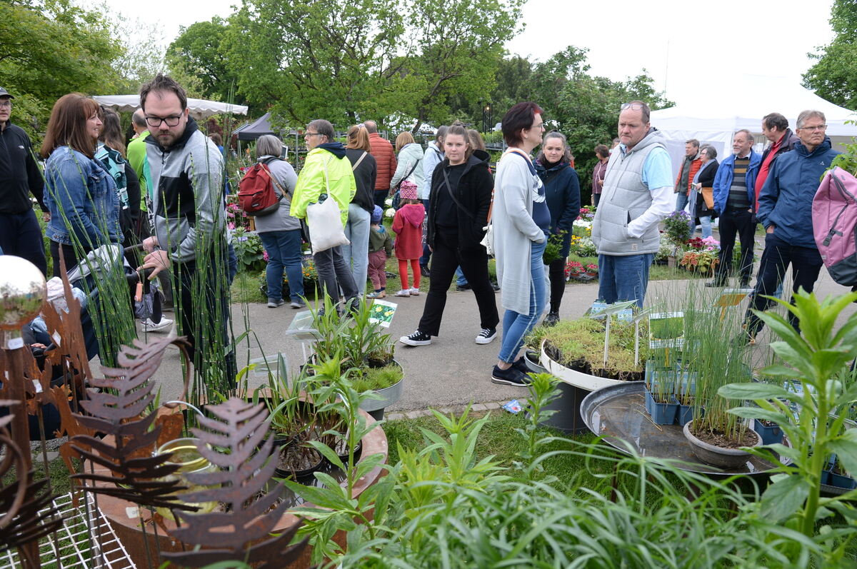 Bild  FOTO JÜRGEN MEYER _42