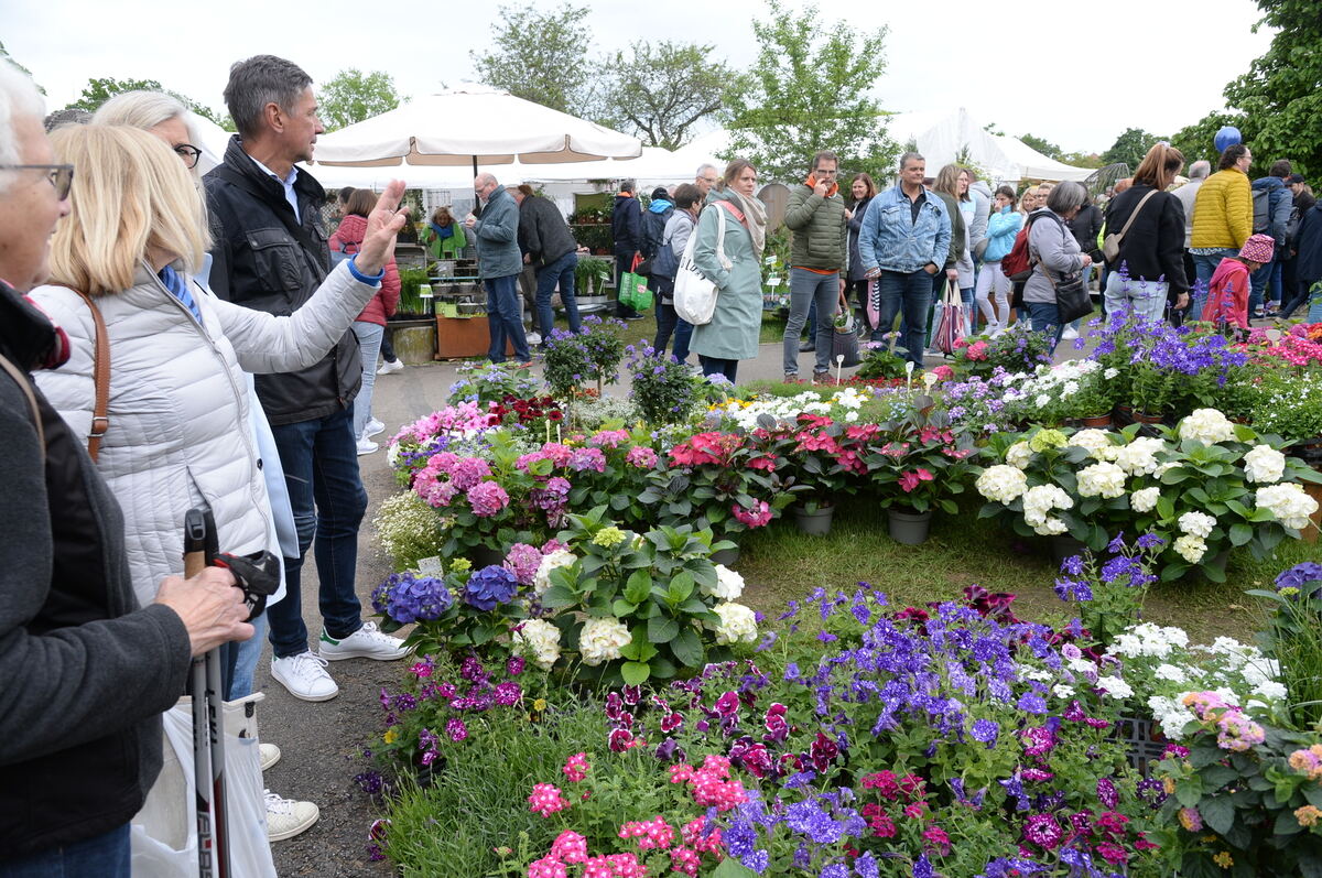 Bild  FOTO JÜRGEN MEYER _43