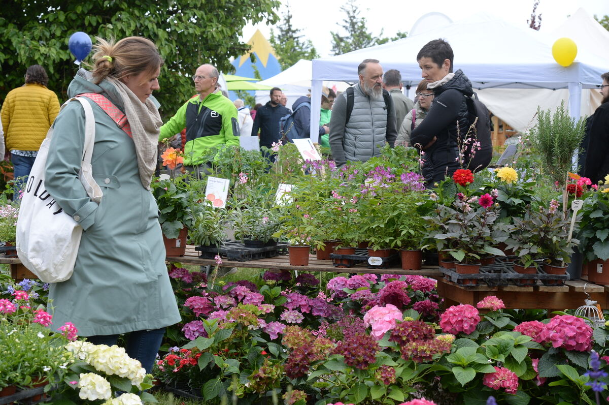 Bild  FOTO JÜRGEN MEYER _44