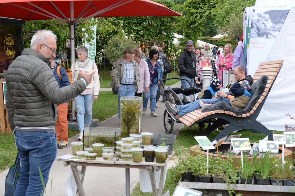 Bild  FOTO JÜRGEN MEYER _45