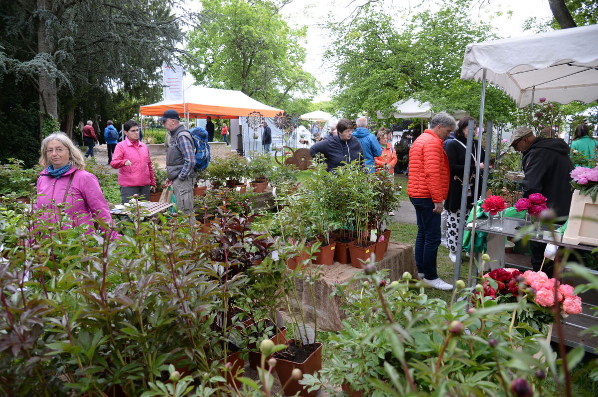 Bild  FOTO JÜRGEN MEYER _46