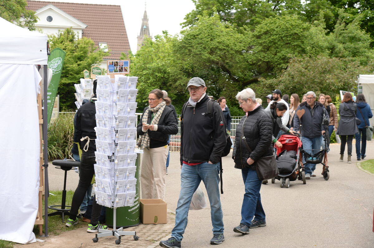 Bild  FOTO JÜRGEN MEYER _47