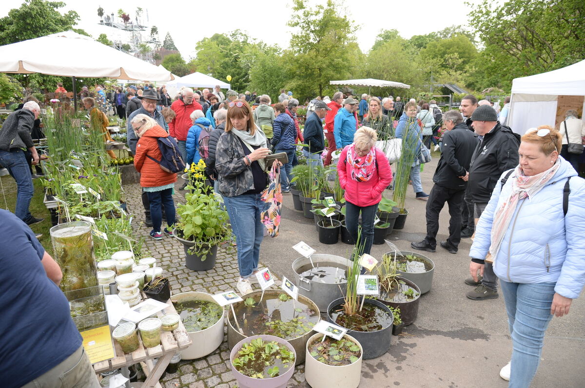 Bild  FOTO JÜRGEN MEYER _01