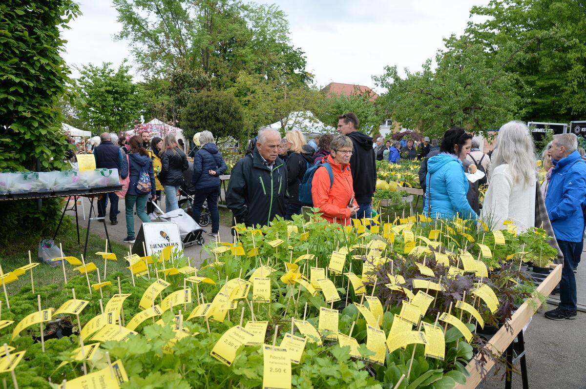 Bild  FOTO JÜRGEN MEYER _03
