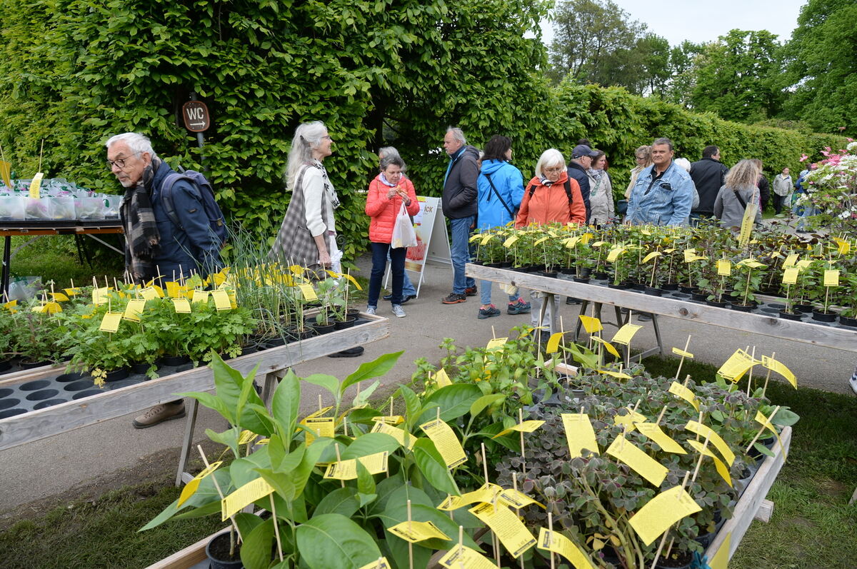 Bild  FOTO JÜRGEN MEYER _04