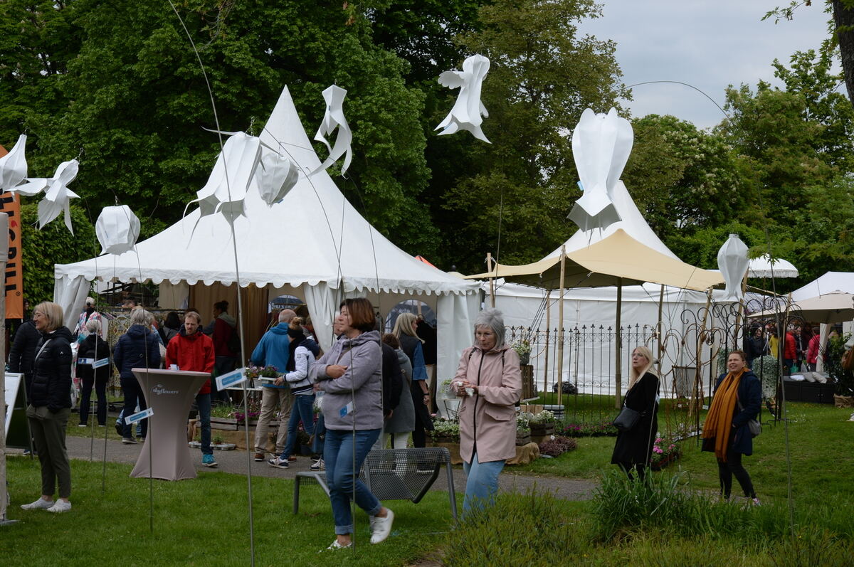 Bild  FOTO JÜRGEN MEYER _05