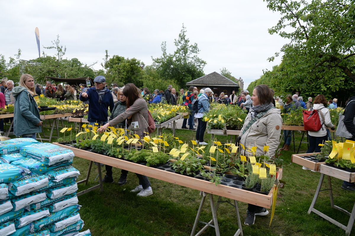 Bild  FOTO JÜRGEN MEYER _06