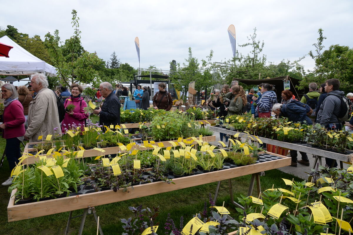 Bild  FOTO JÜRGEN MEYER _07