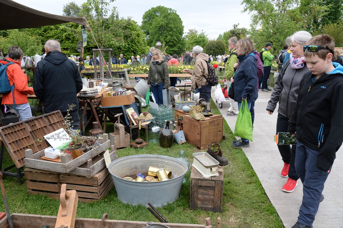 Bild  FOTO JÜRGEN MEYER _08