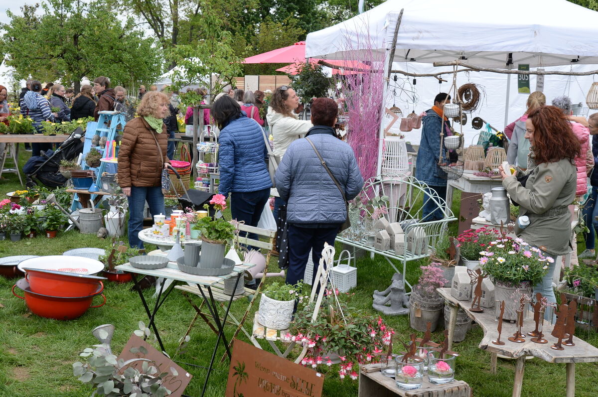 Bild  FOTO JÜRGEN MEYER _09