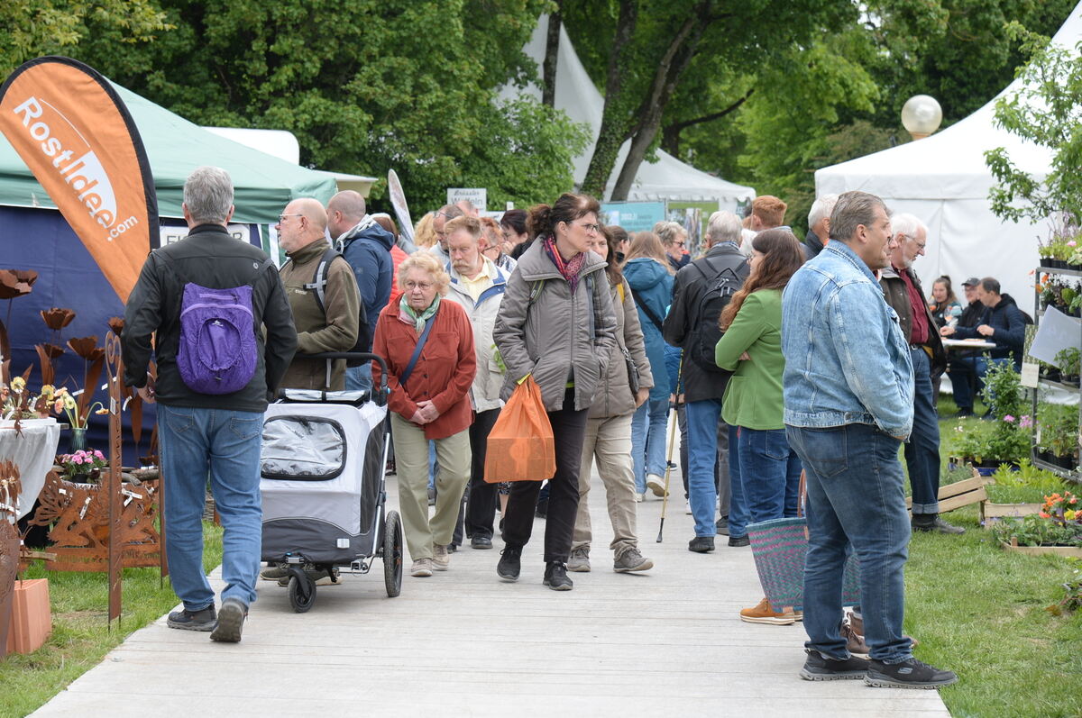 Bild  FOTO JÜRGEN MEYER _10