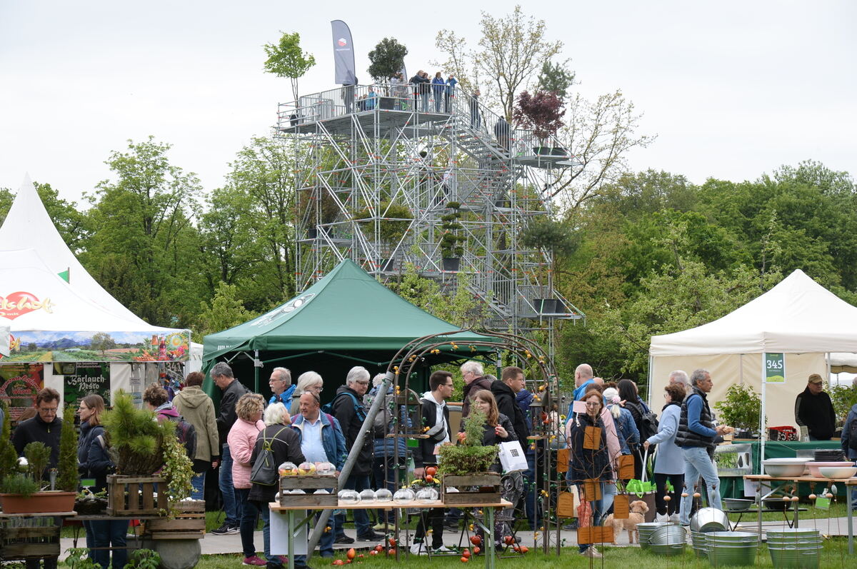 Bild  FOTO JÜRGEN MEYER _11