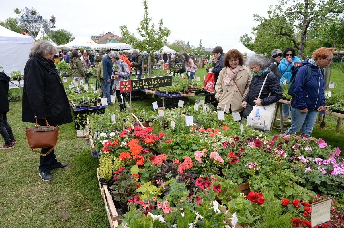 Bild  FOTO JÜRGEN MEYER _12