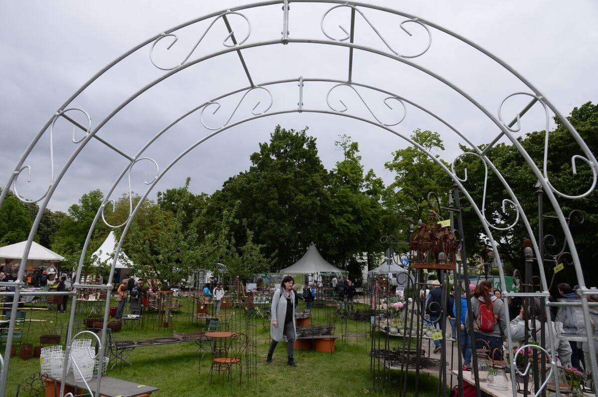 Bild  FOTO JÜRGEN MEYER _15