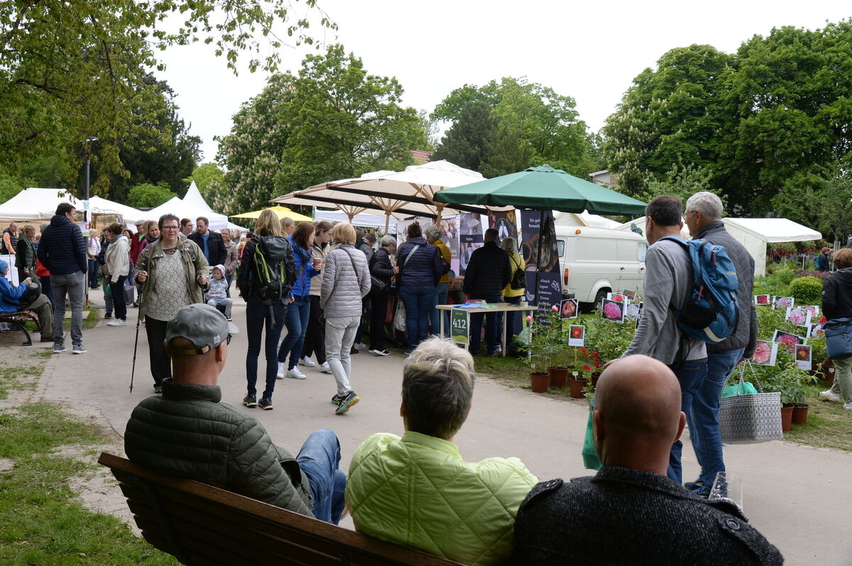 Bild  FOTO JÜRGEN MEYER _16