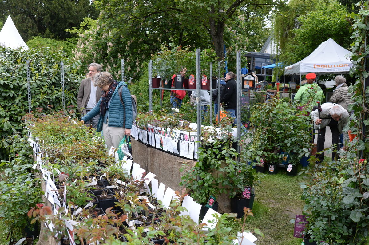 Bild  FOTO JÜRGEN MEYER _18