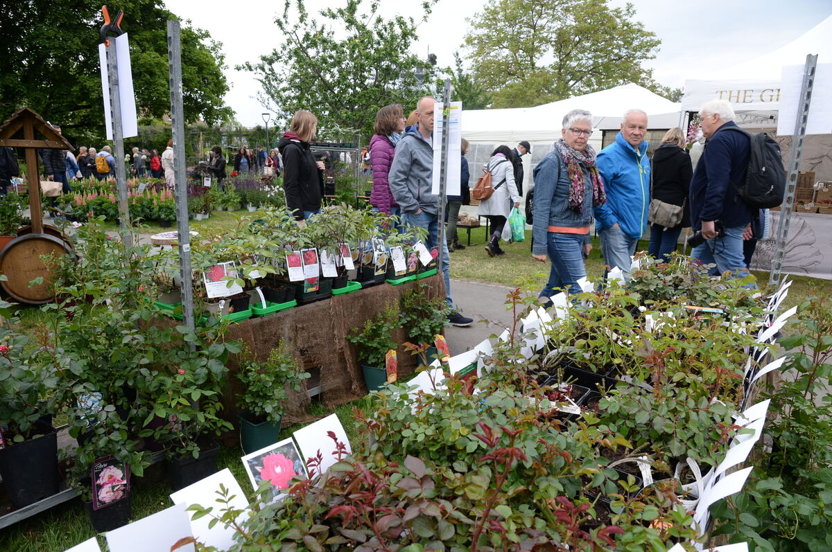 Bild  FOTO JÜRGEN MEYER _19