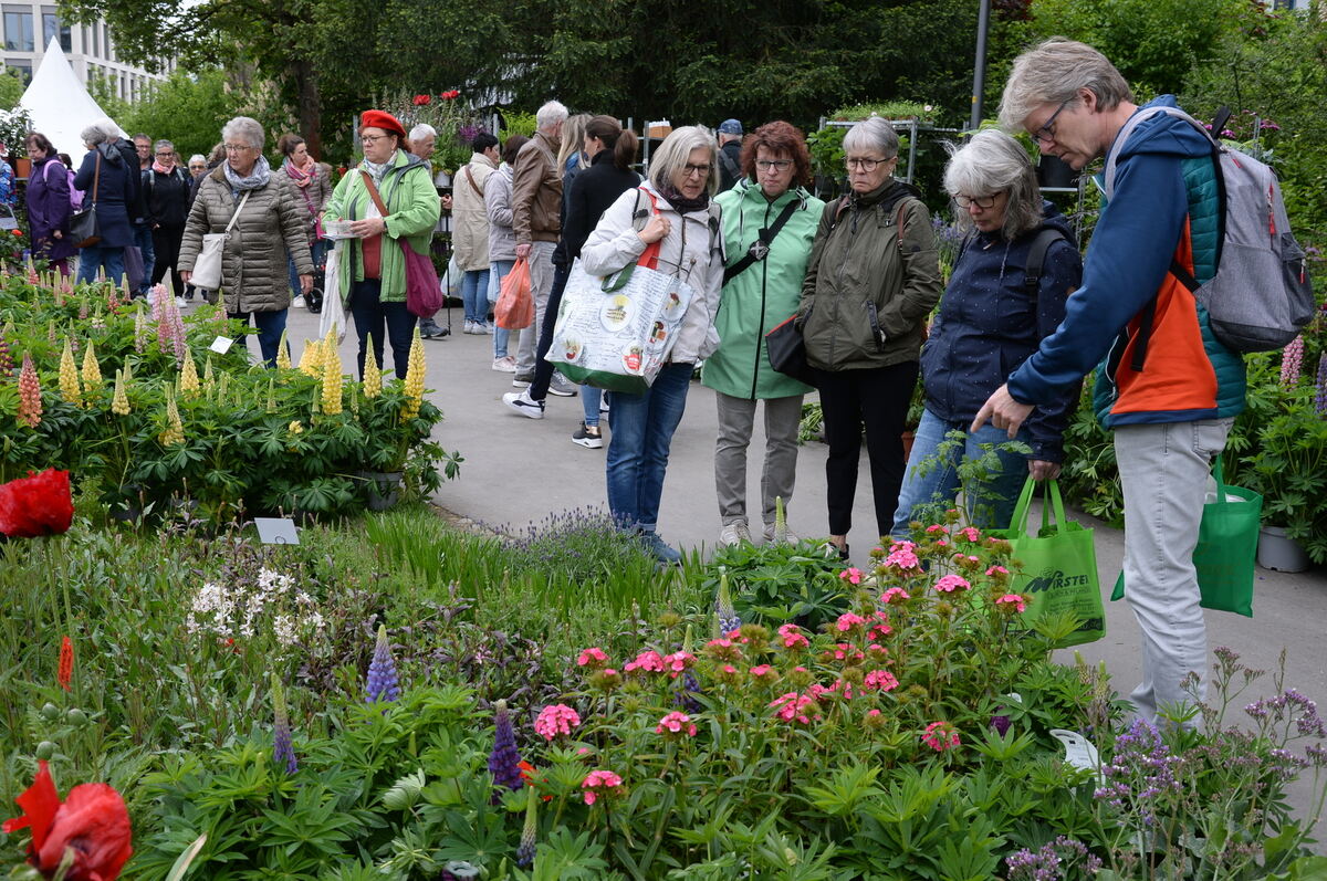 Bild  FOTO JÜRGEN MEYER _22