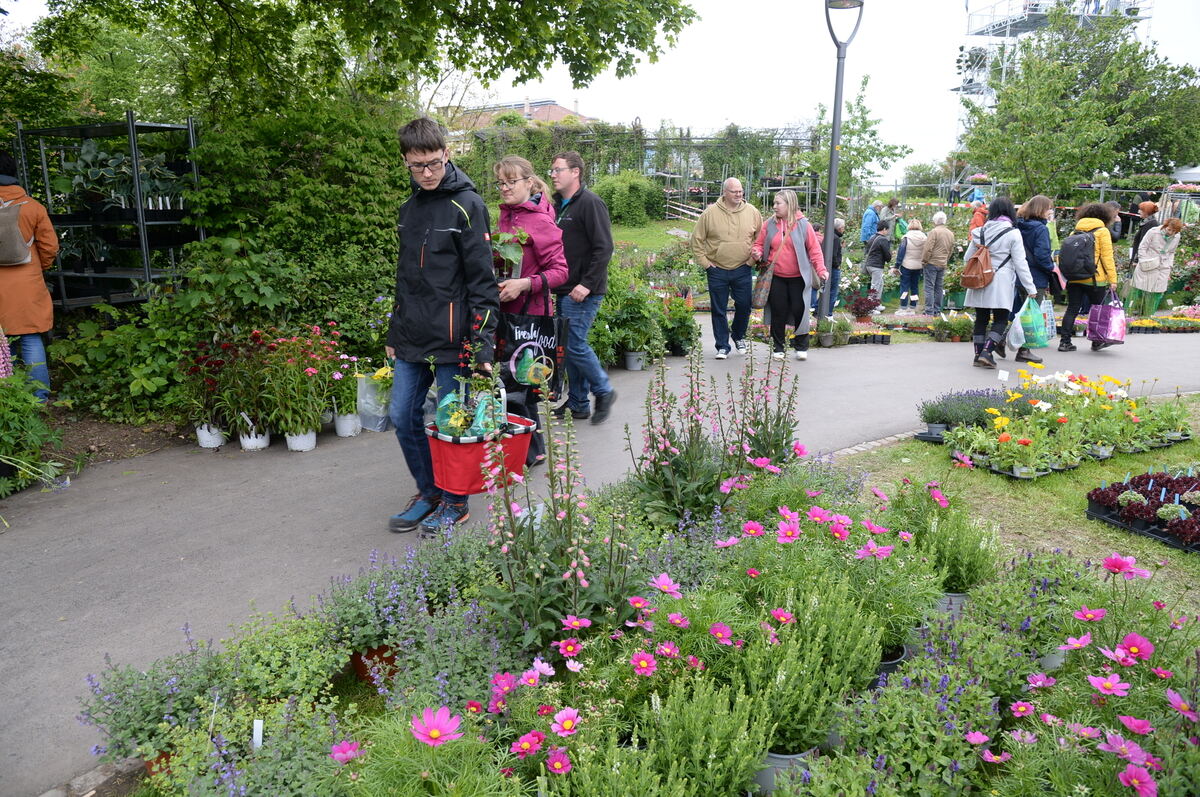 Bild  FOTO JÜRGEN MEYER _23