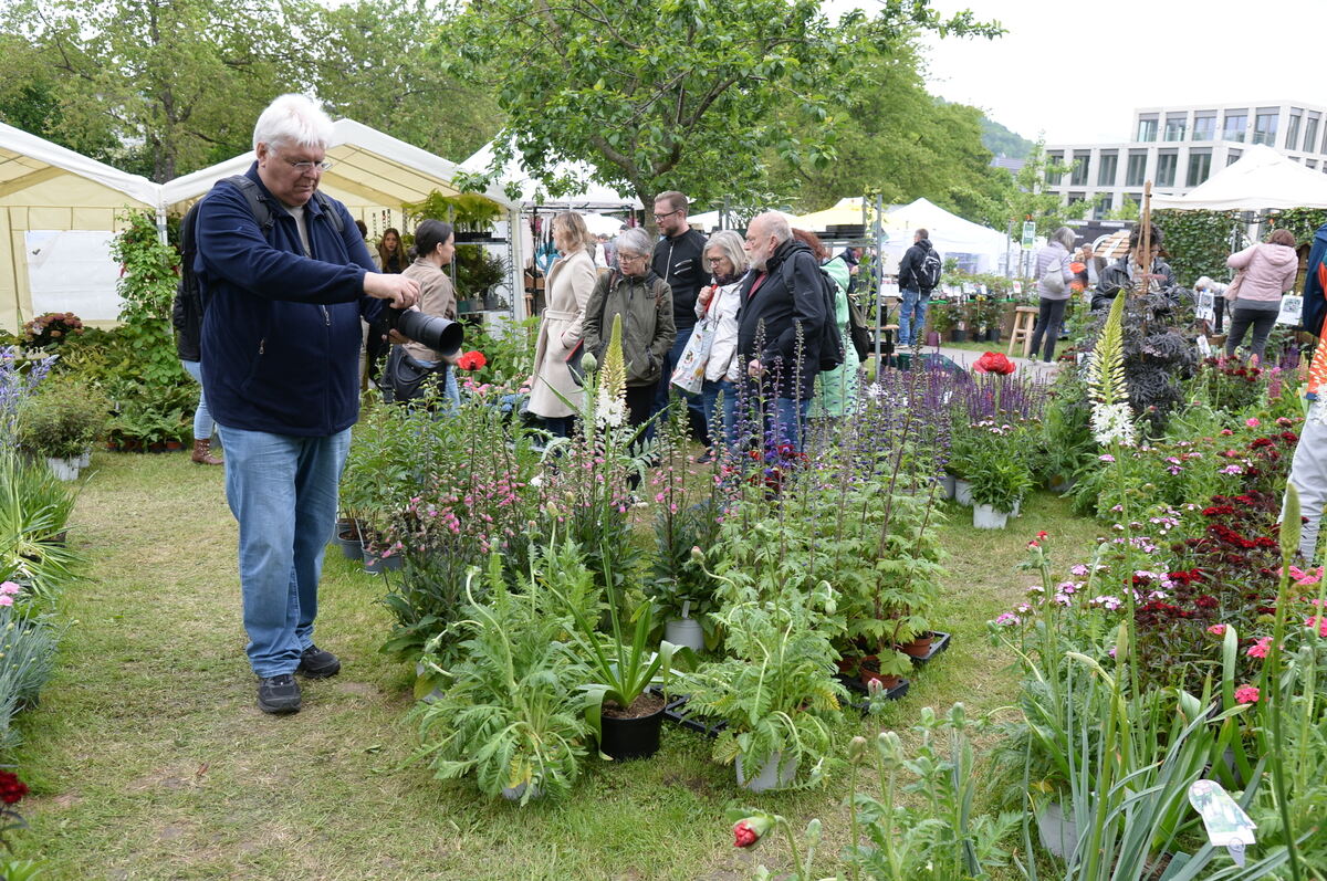 Bild  FOTO JÜRGEN MEYER _24