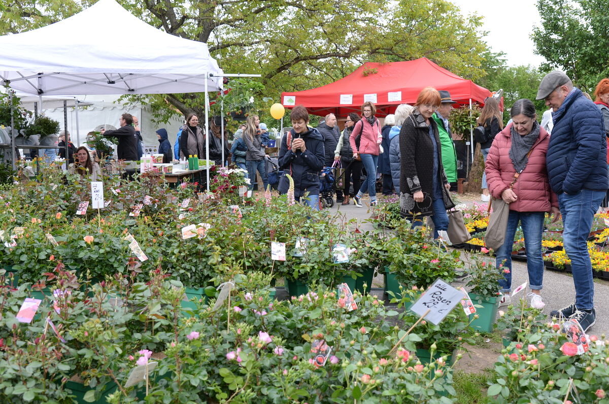 Bild  FOTO JÜRGEN MEYER _26