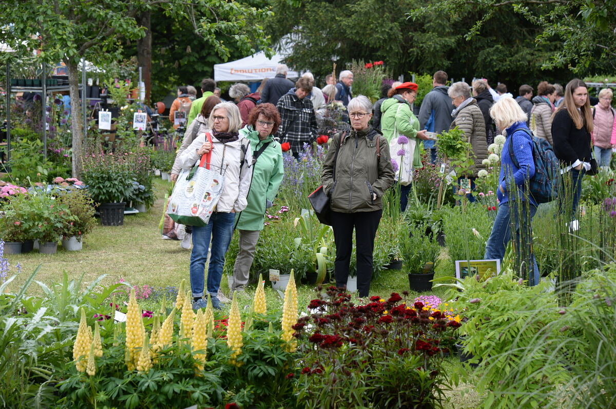 Bild  FOTO JÜRGEN MEYER _27