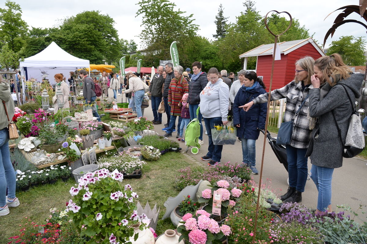 Bild  FOTO JÜRGEN MEYER _29