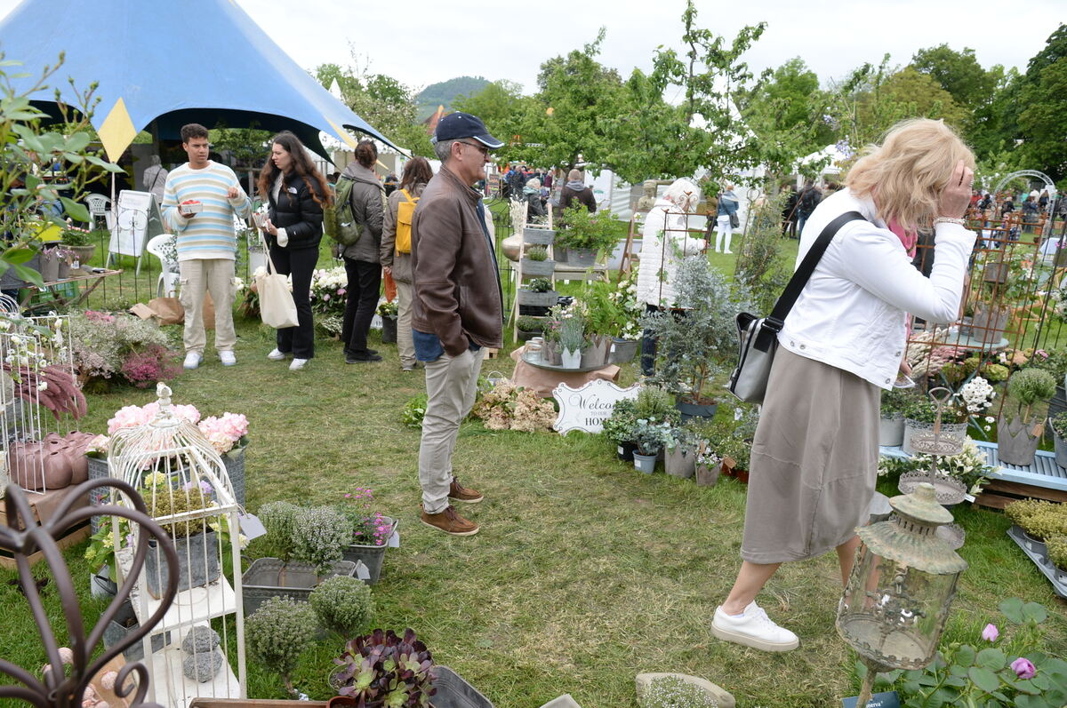 Bild  FOTO JÜRGEN MEYER _31