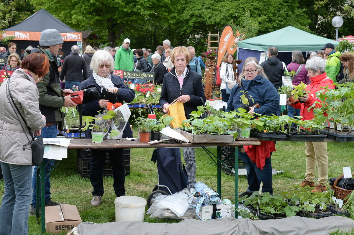 Bild  FOTO JÜRGEN MEYER _32