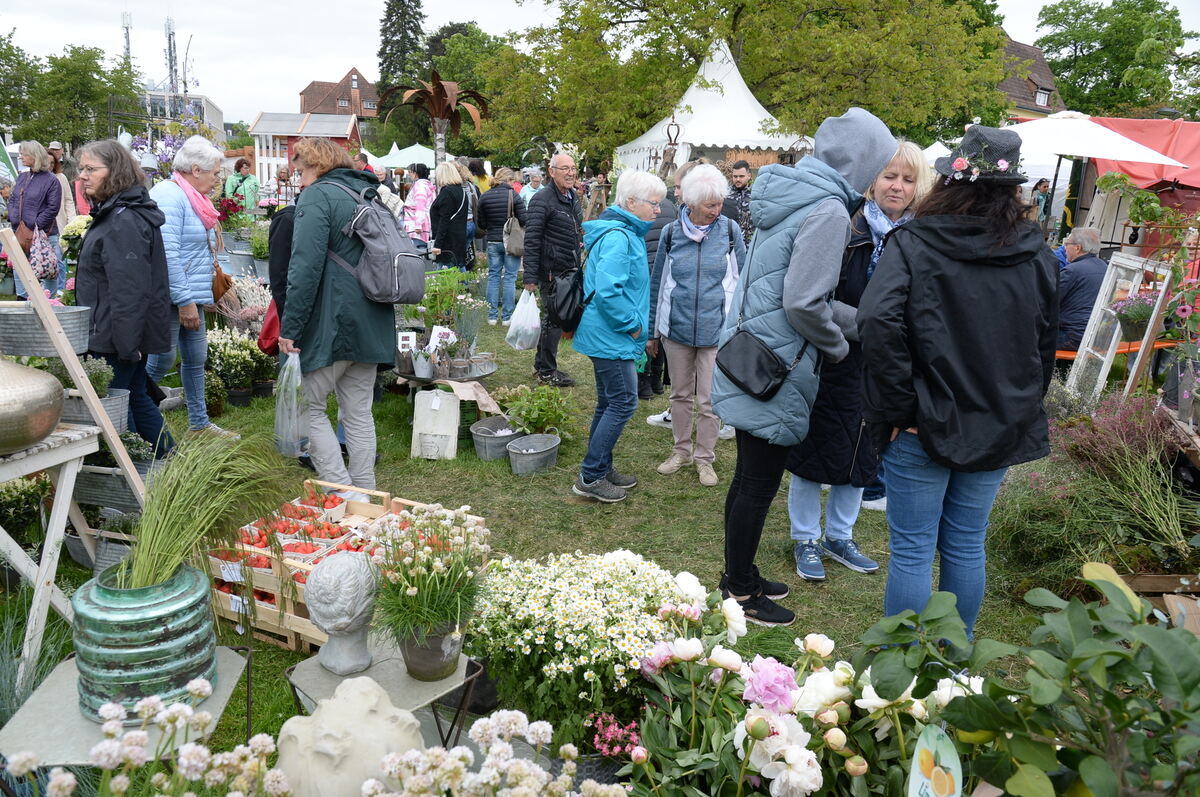 Bild  FOTO JÜRGEN MEYER _33