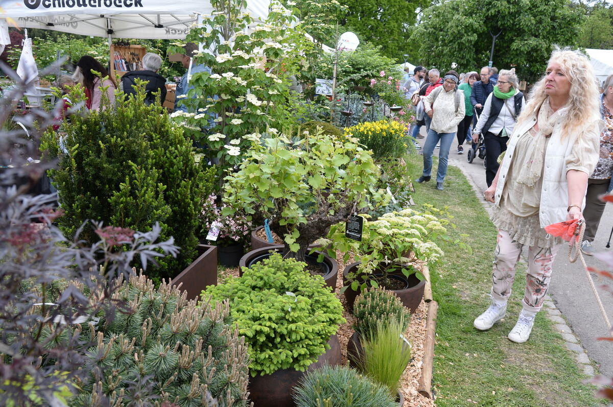 Bild  FOTO JÜRGEN MEYER _35