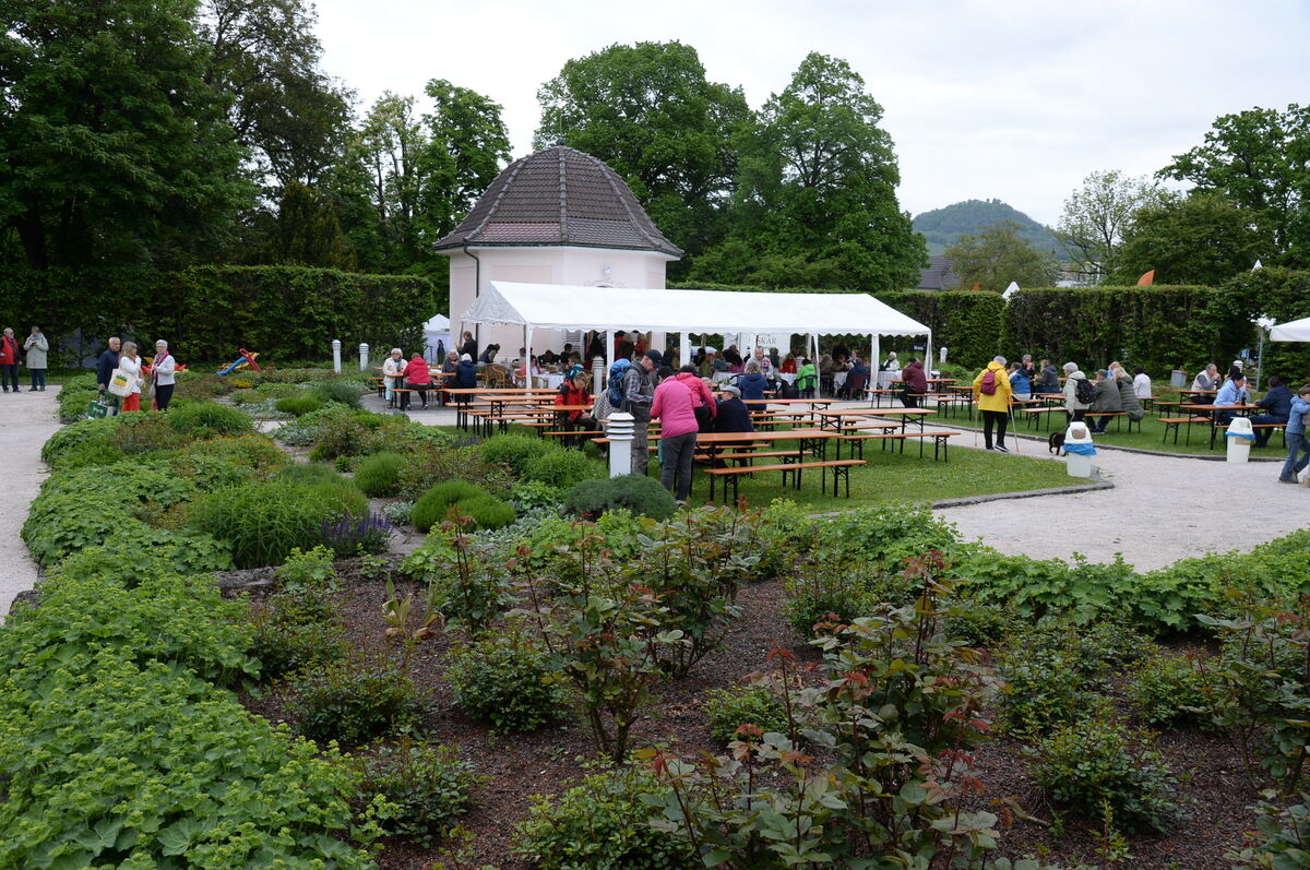 Bild  FOTO JÜRGEN MEYER _37