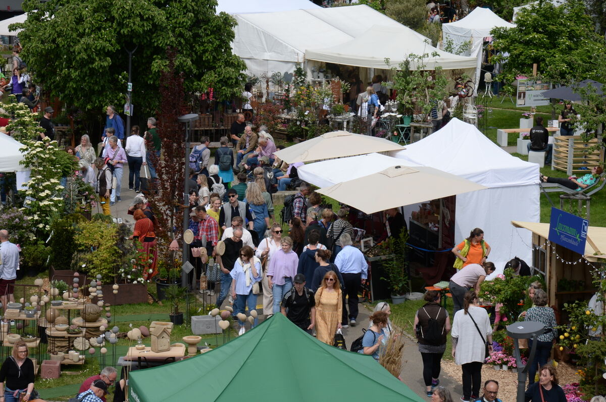 DSC_0021FOTO JÜRGEN MEYER