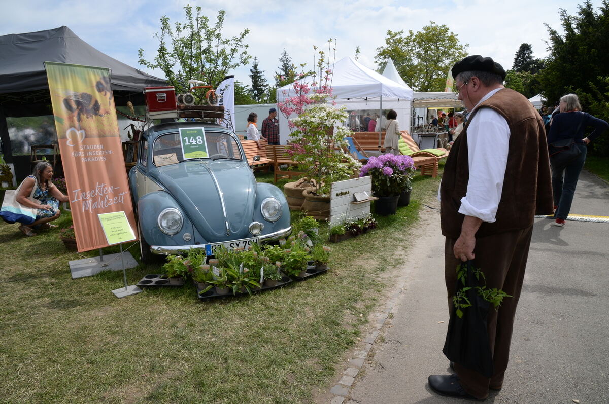 DSC_0022FOTO JÜRGEN MEYER