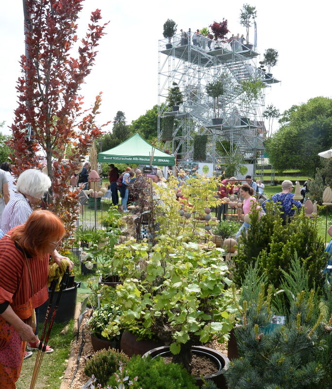 DSC_0024FOTO JÜRGEN MEYER