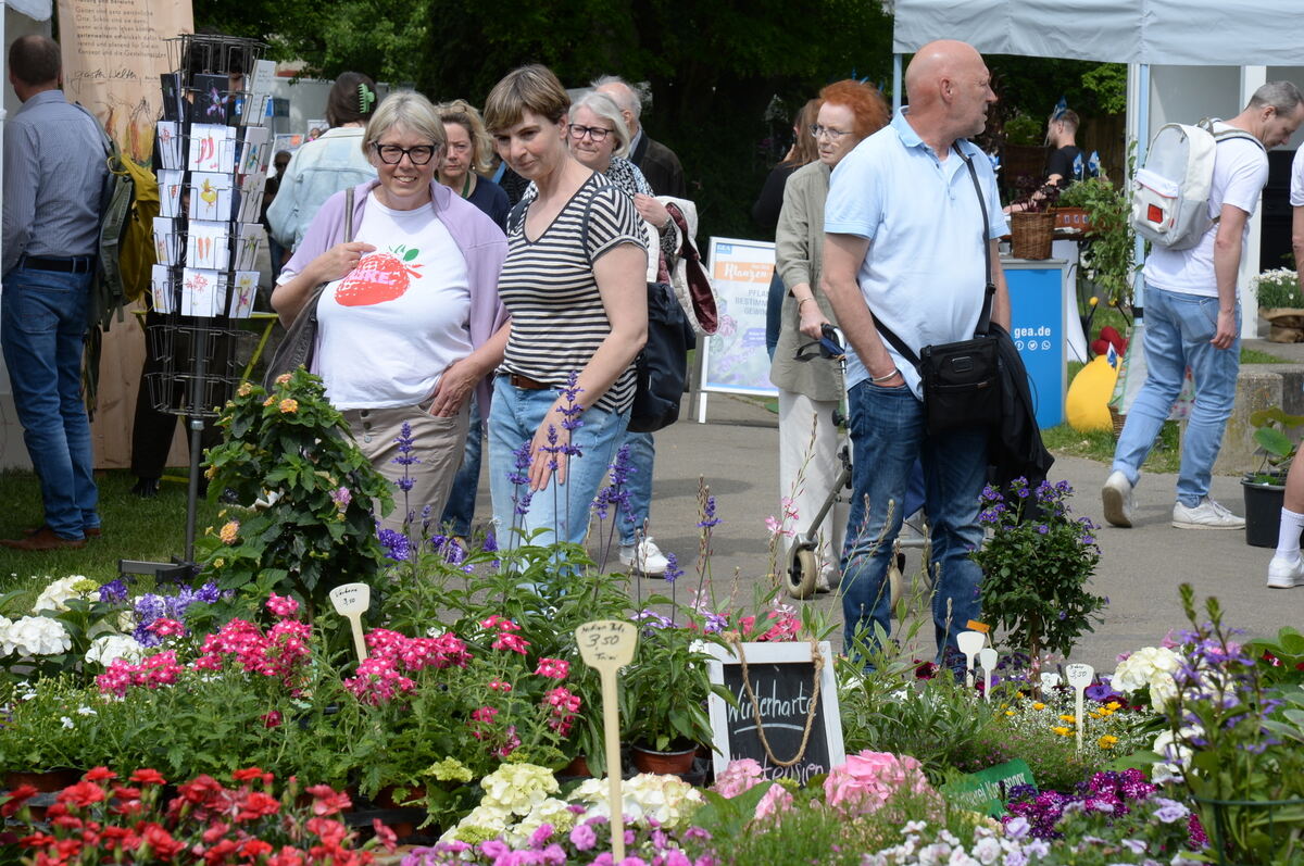 DSC_0025FOTO JÜRGEN MEYER