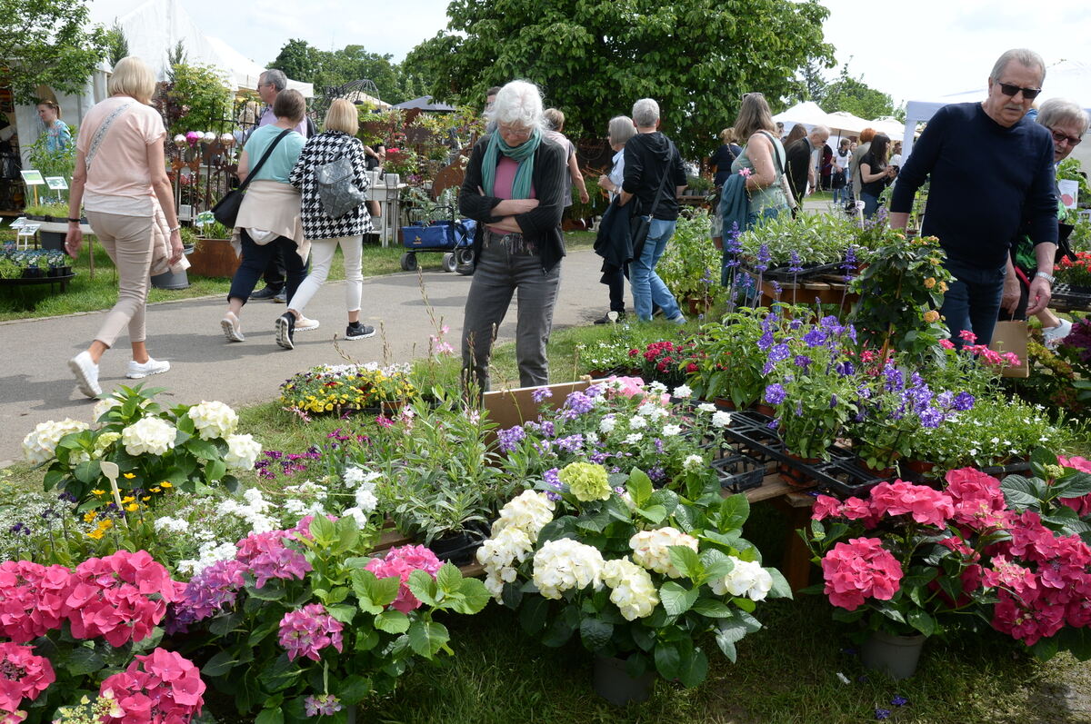 DSC_0026FOTO JÜRGEN MEYER