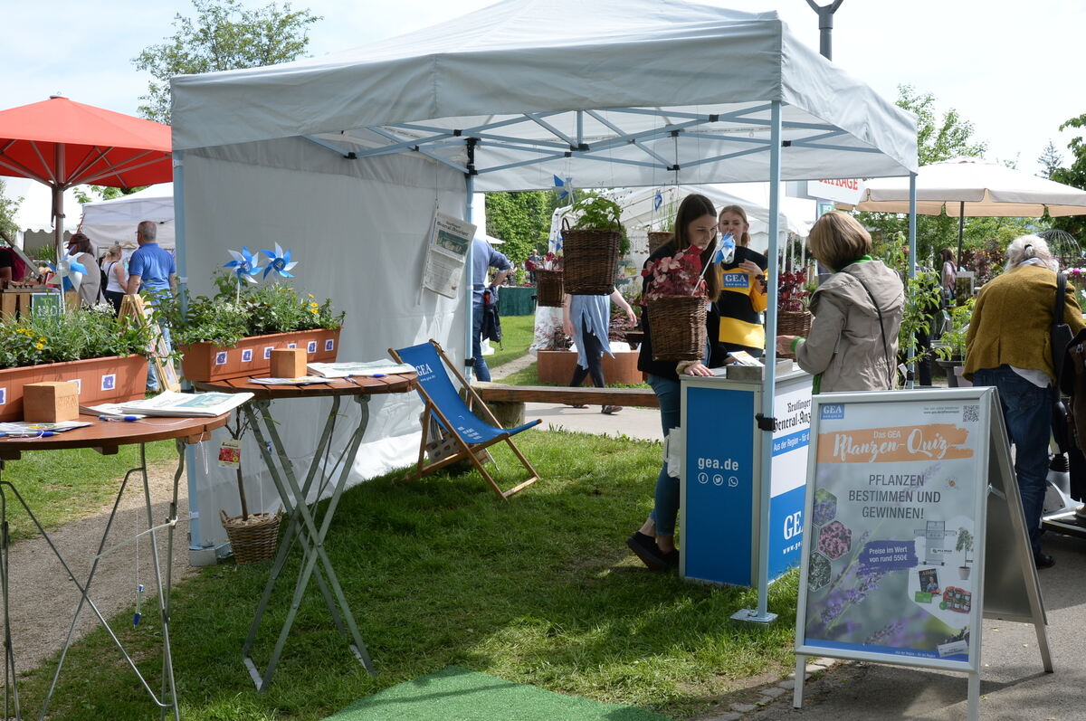 DSC_0027FOTO JÜRGEN MEYER