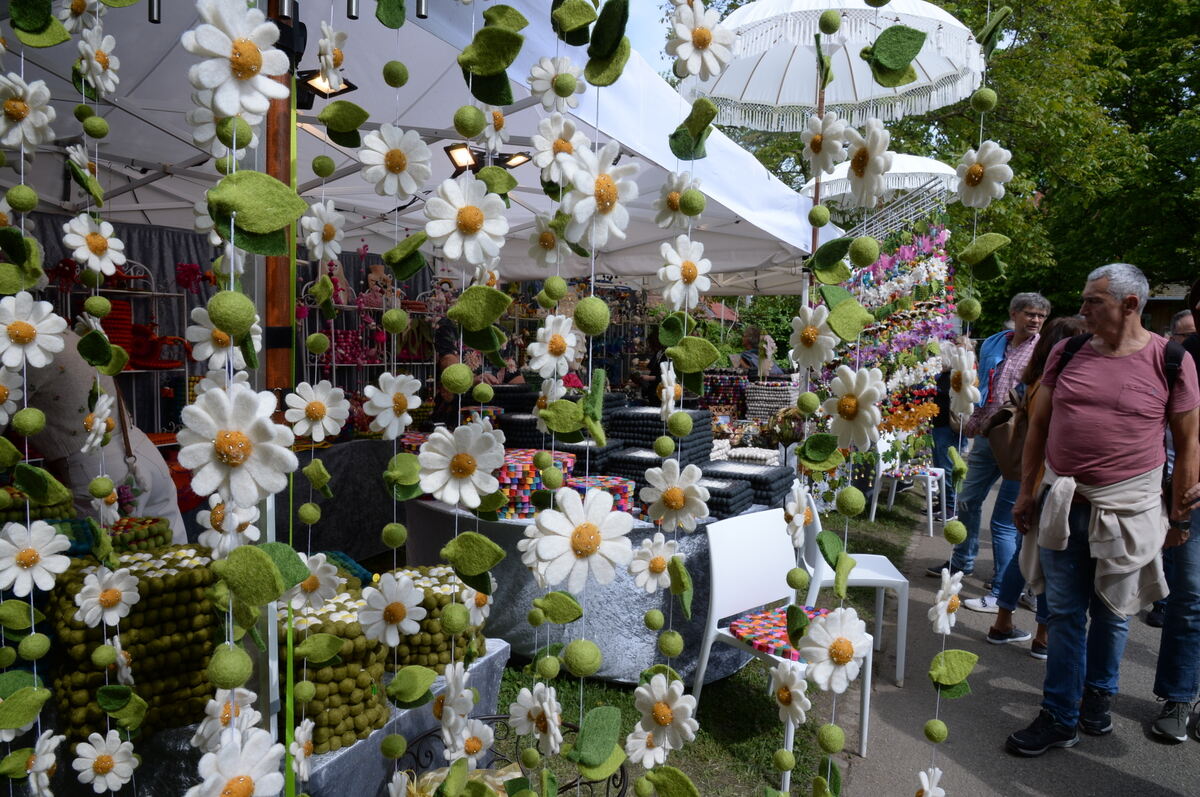 DSC_0031FOTO JÜRGEN MEYER