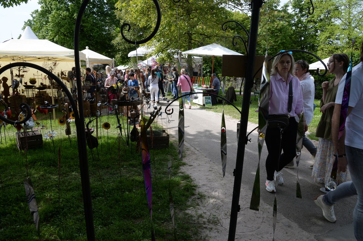 DSC_0033FOTO JÜRGEN MEYER