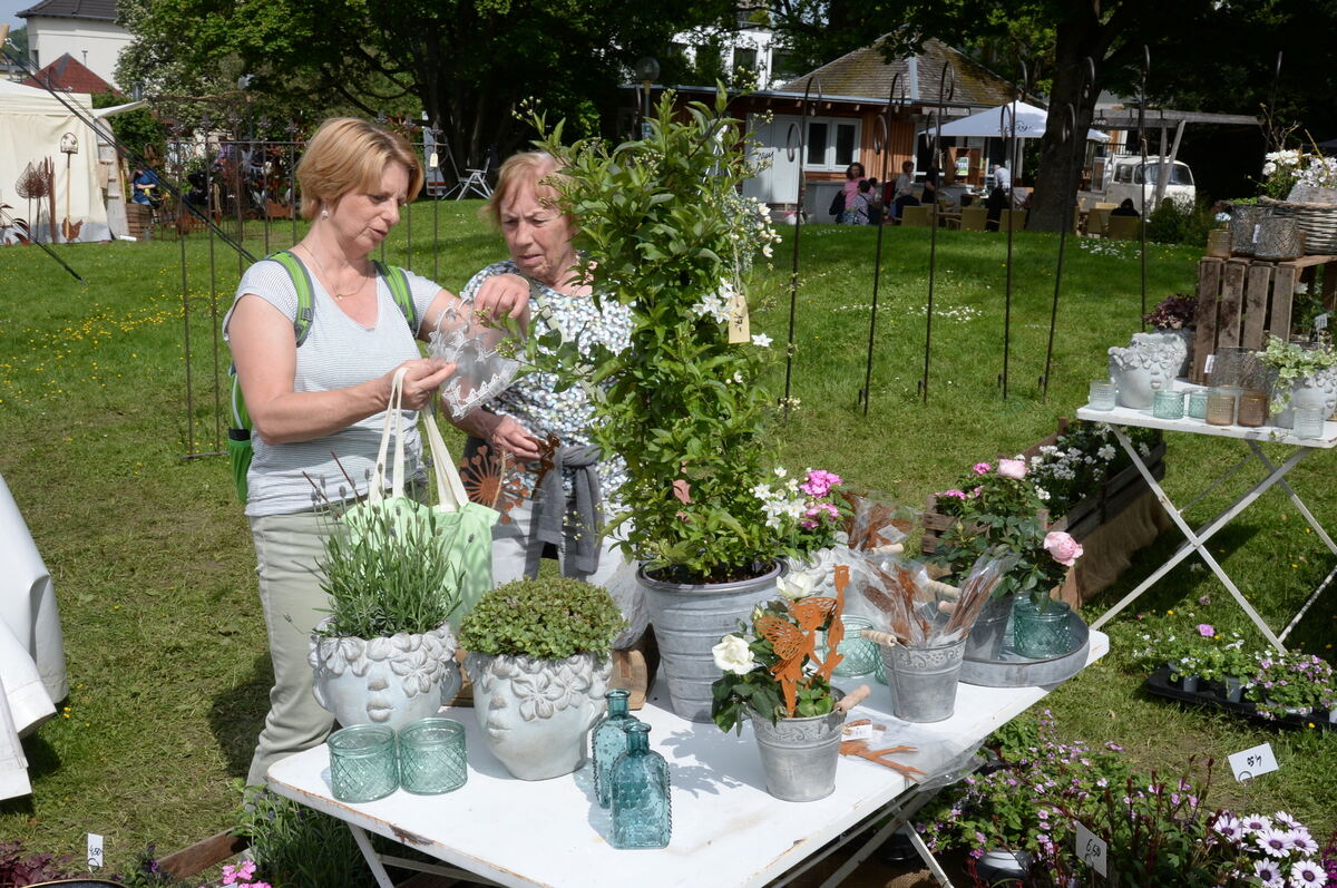 DSC_0034FOTO JÜRGEN MEYER