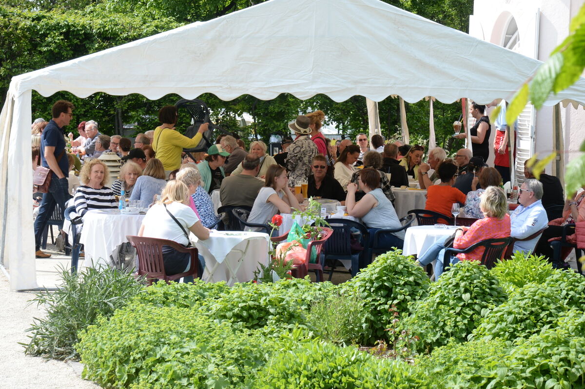 DSC_0036FOTO JÜRGEN MEYER