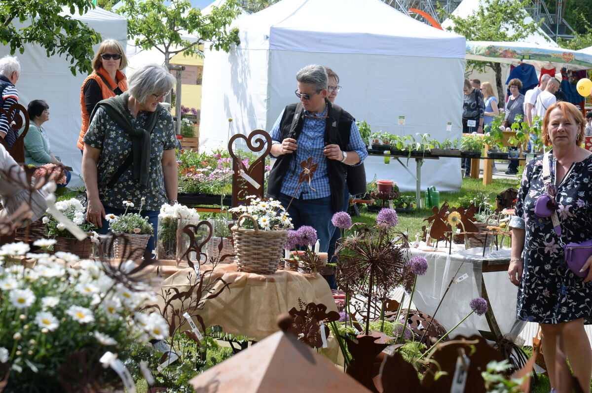 DSC_0038FOTO JÜRGEN MEYER