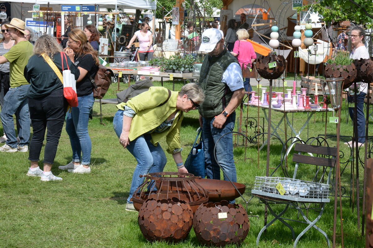 DSC_0039FOTO JÜRGEN MEYER